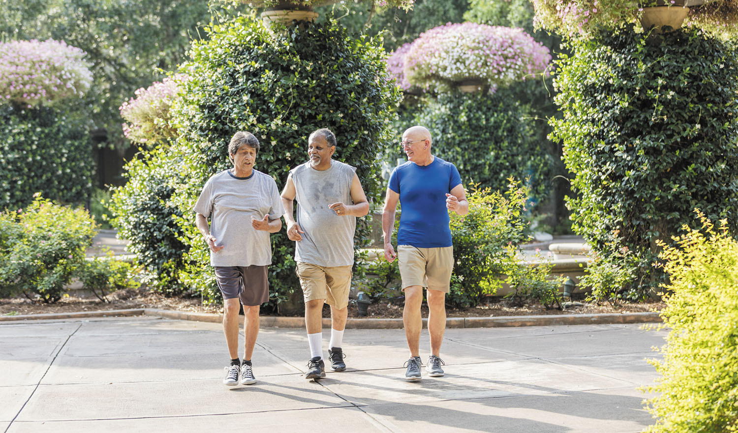 older adults walking in park