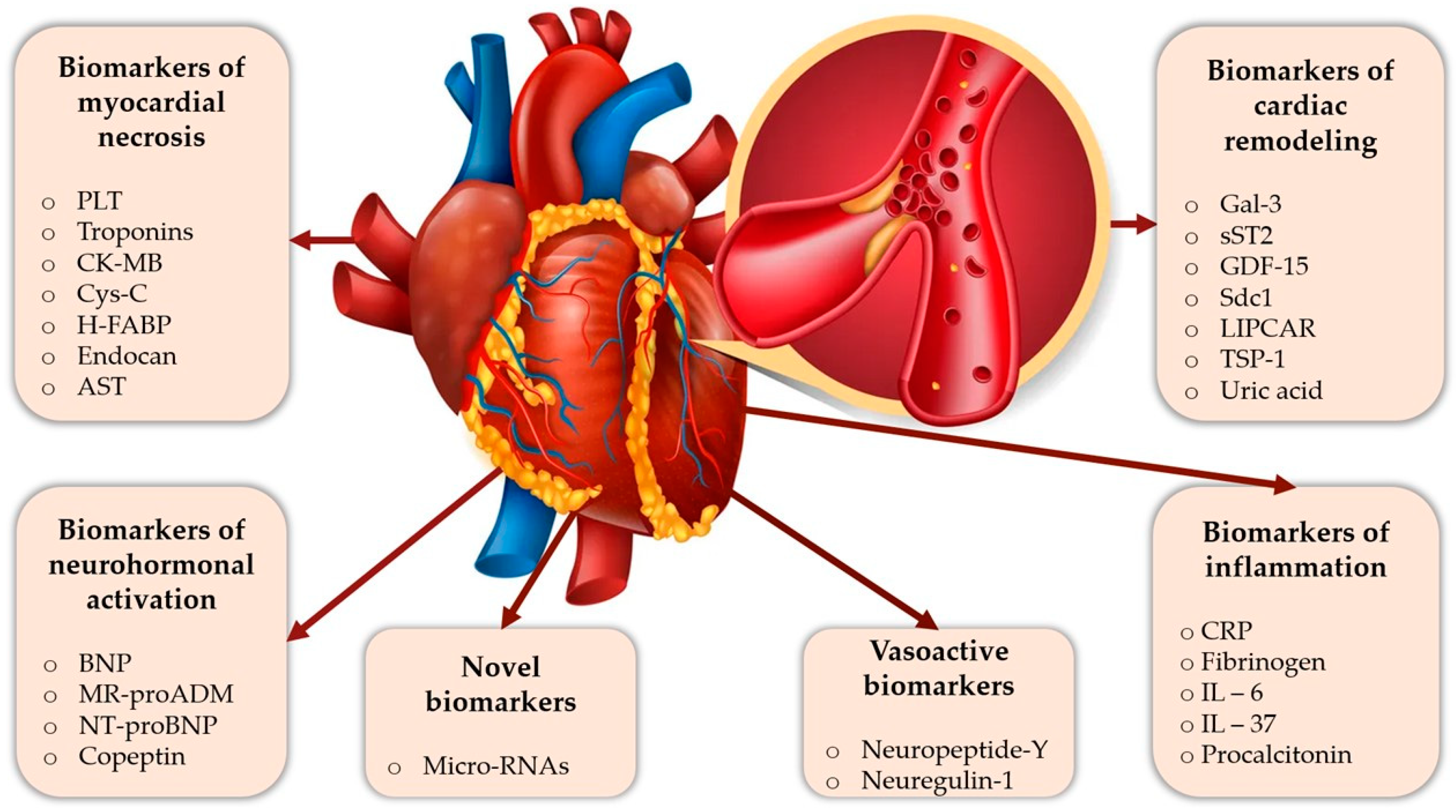 cardiovascular risk biomarkers