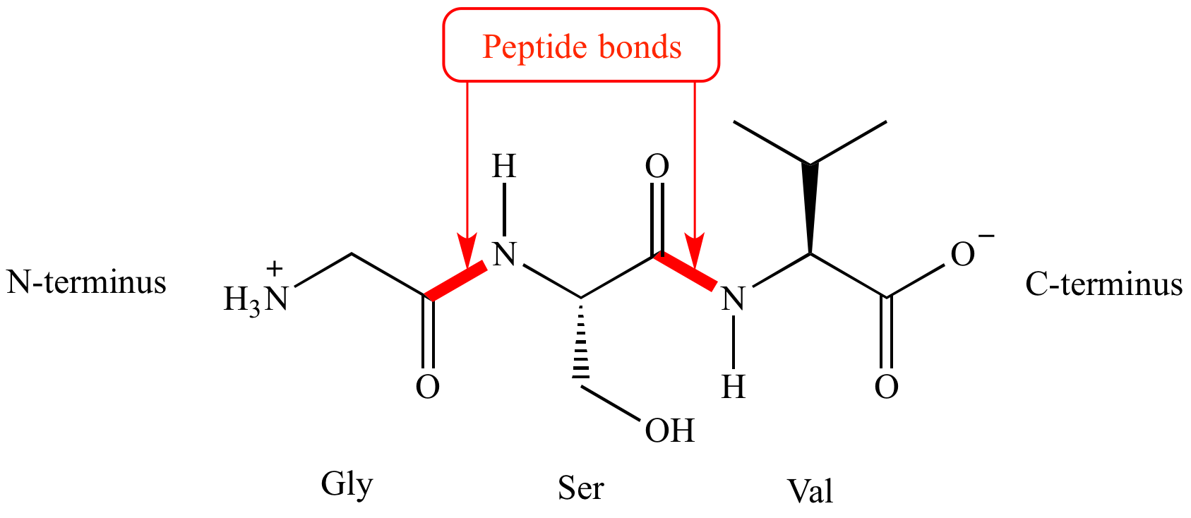 natural peptide compounds