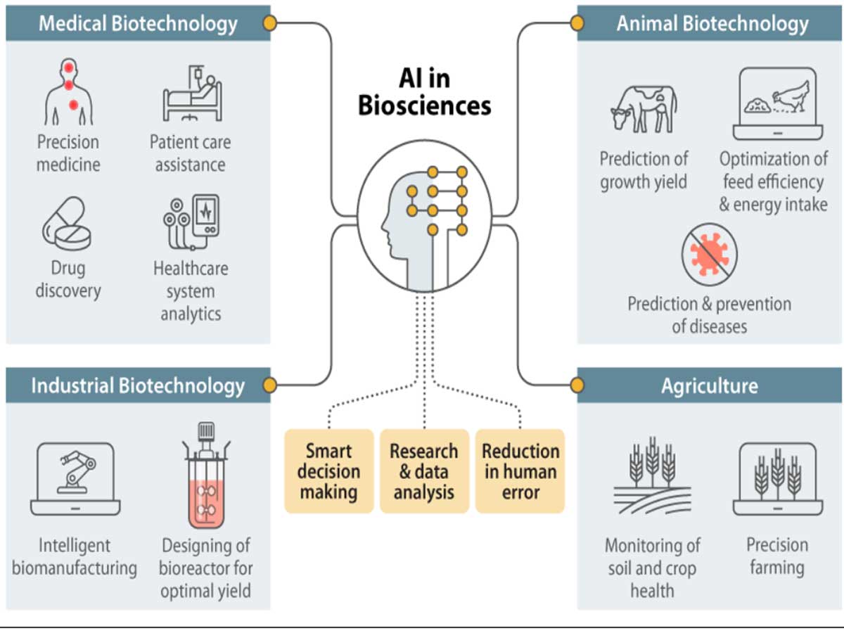 AI computational biology models