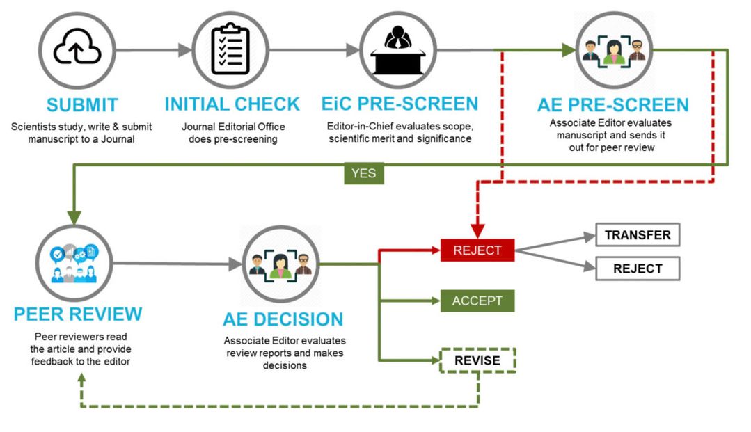 automated peer review system