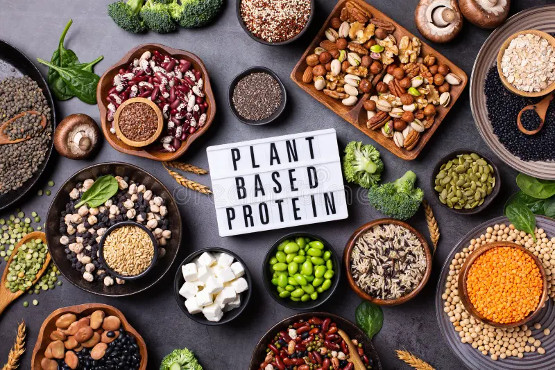 plant protein sources legumes