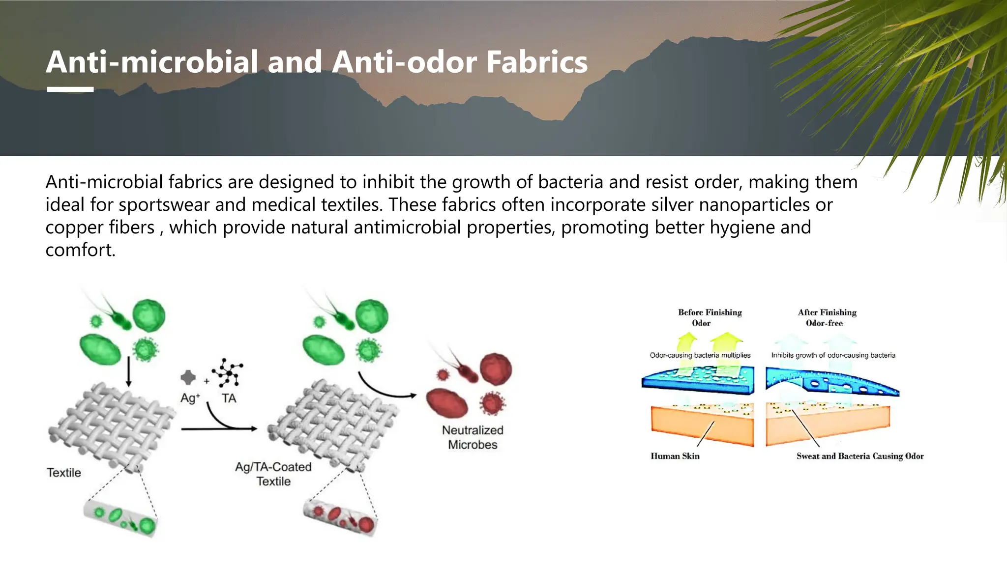 microbial colony mineral fabrics