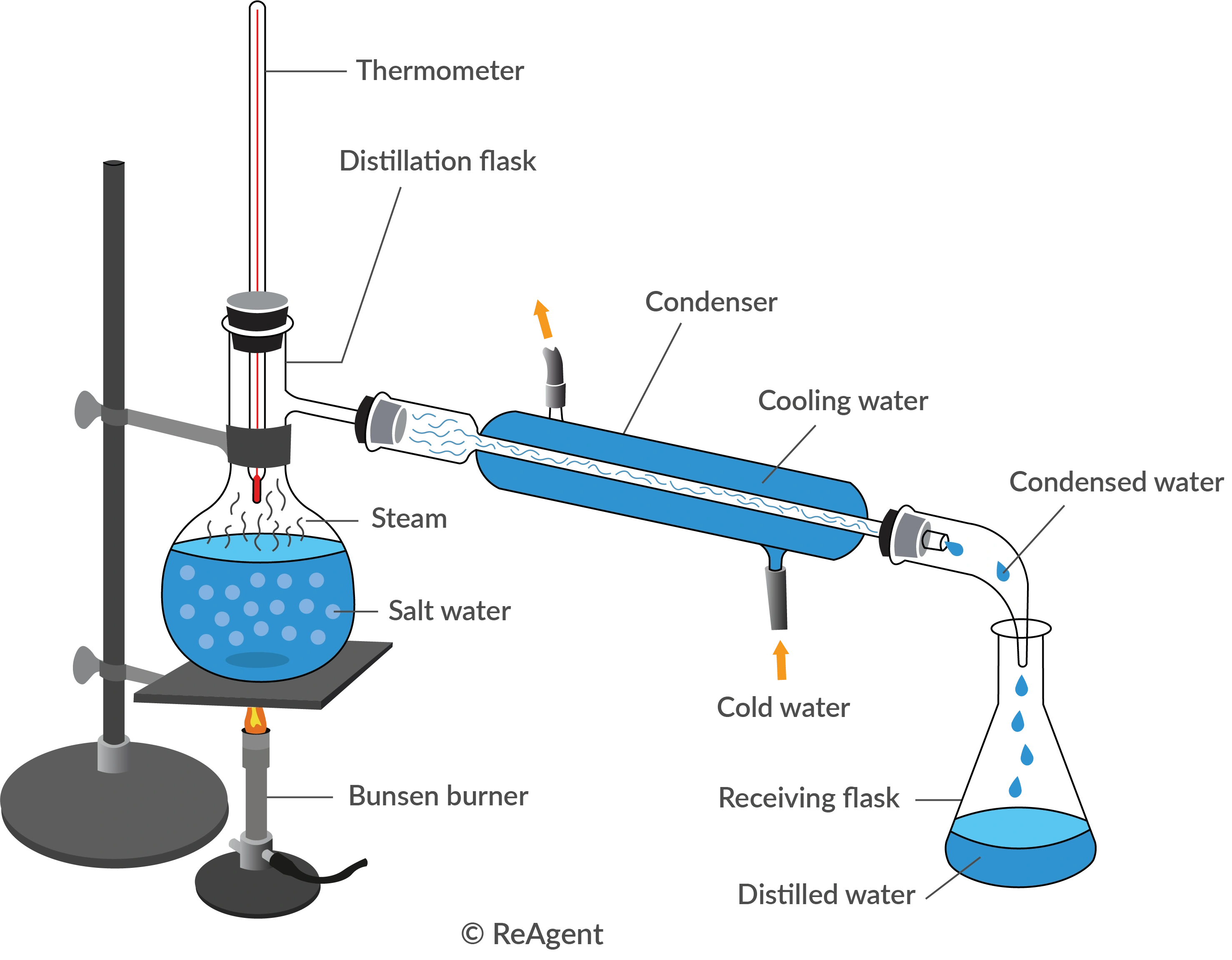 model extraction distillation