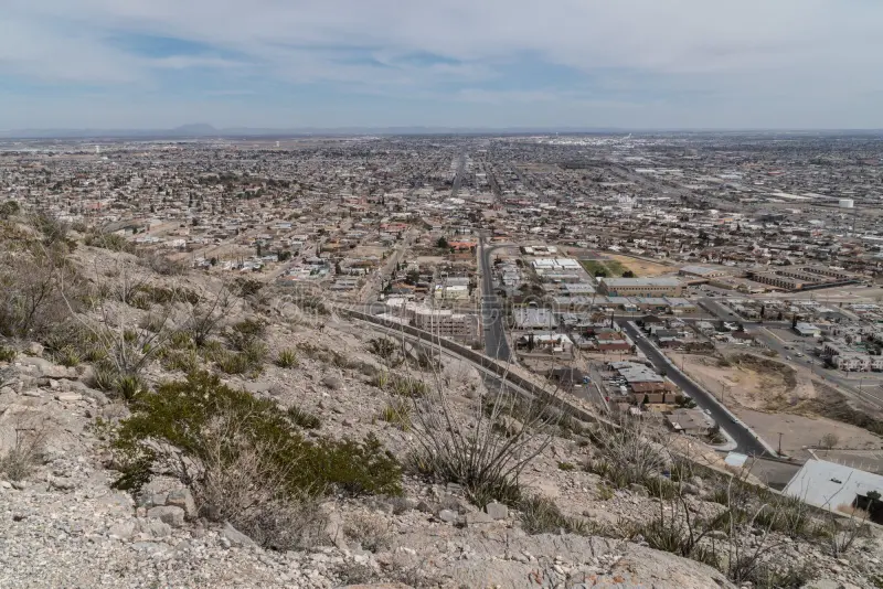 Texas arid landscapes drive