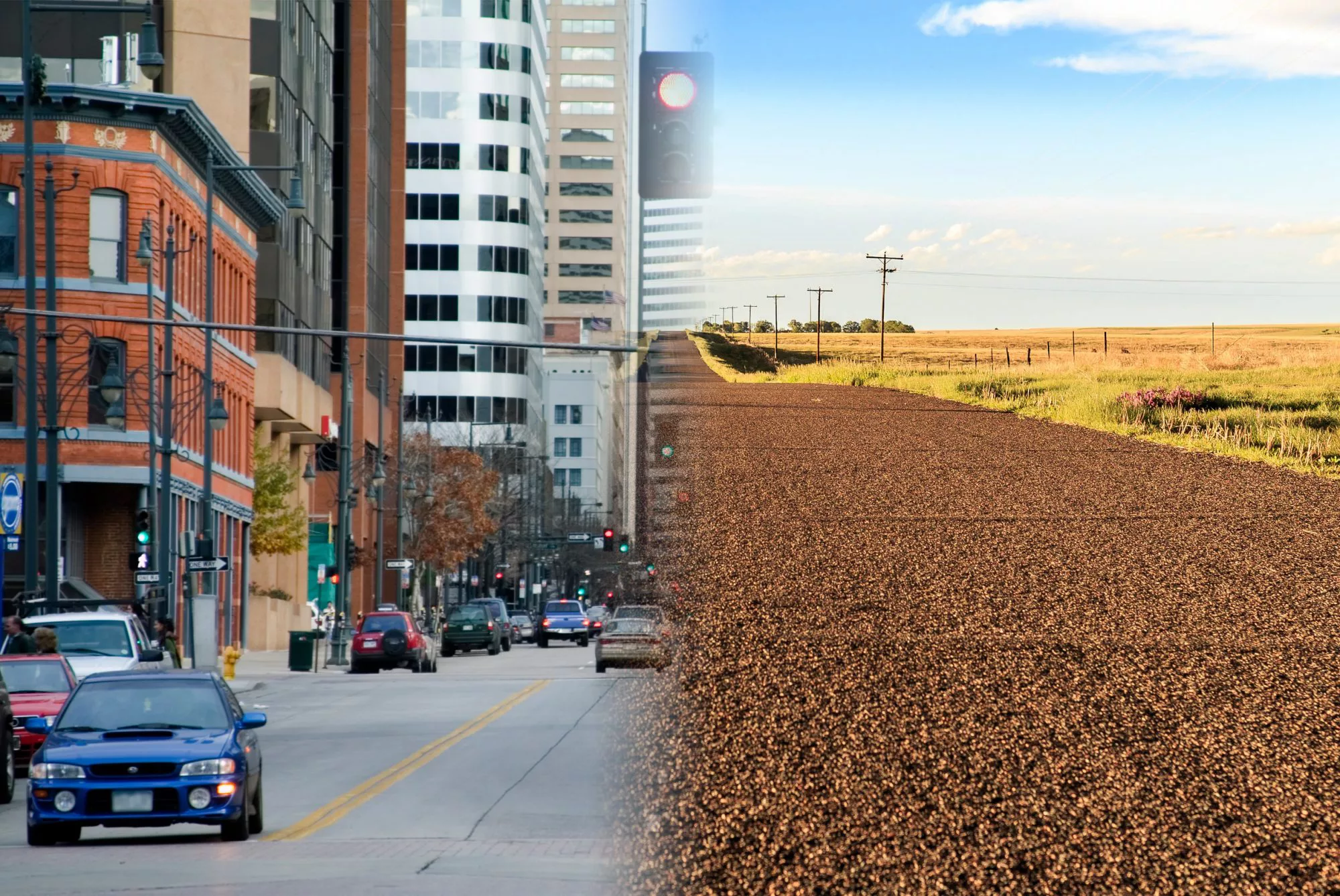 Urban rural driving divide