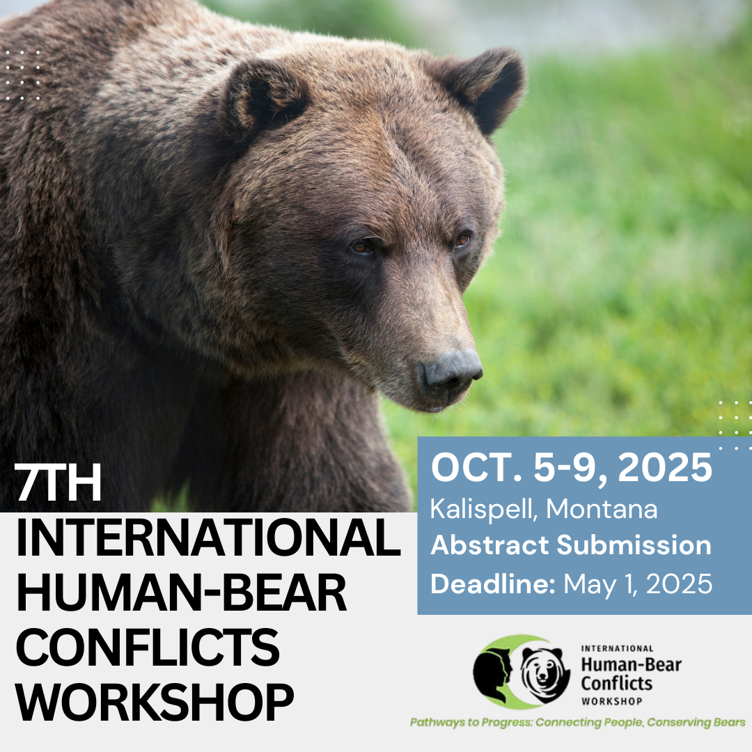 Human-bear conflict prevention