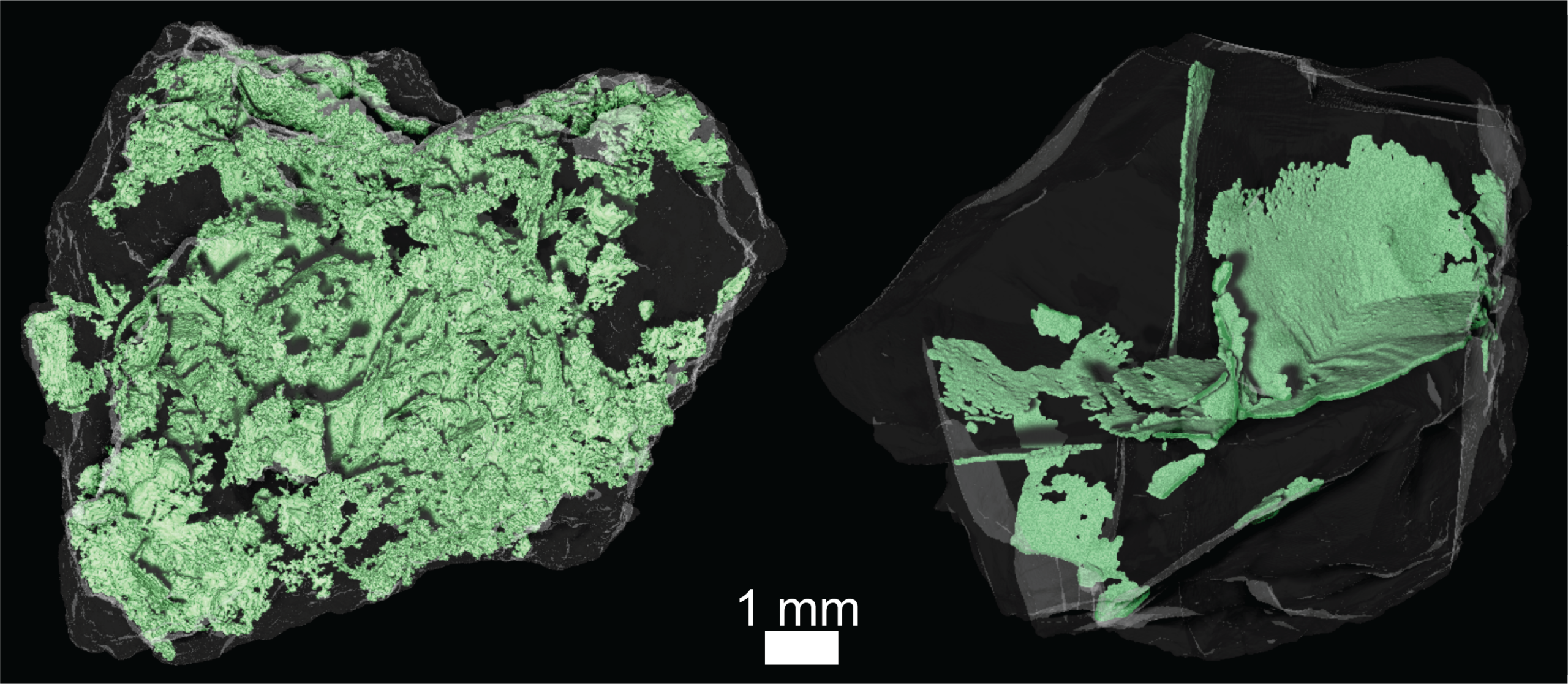 carbonaceous asteroid Bennu surface