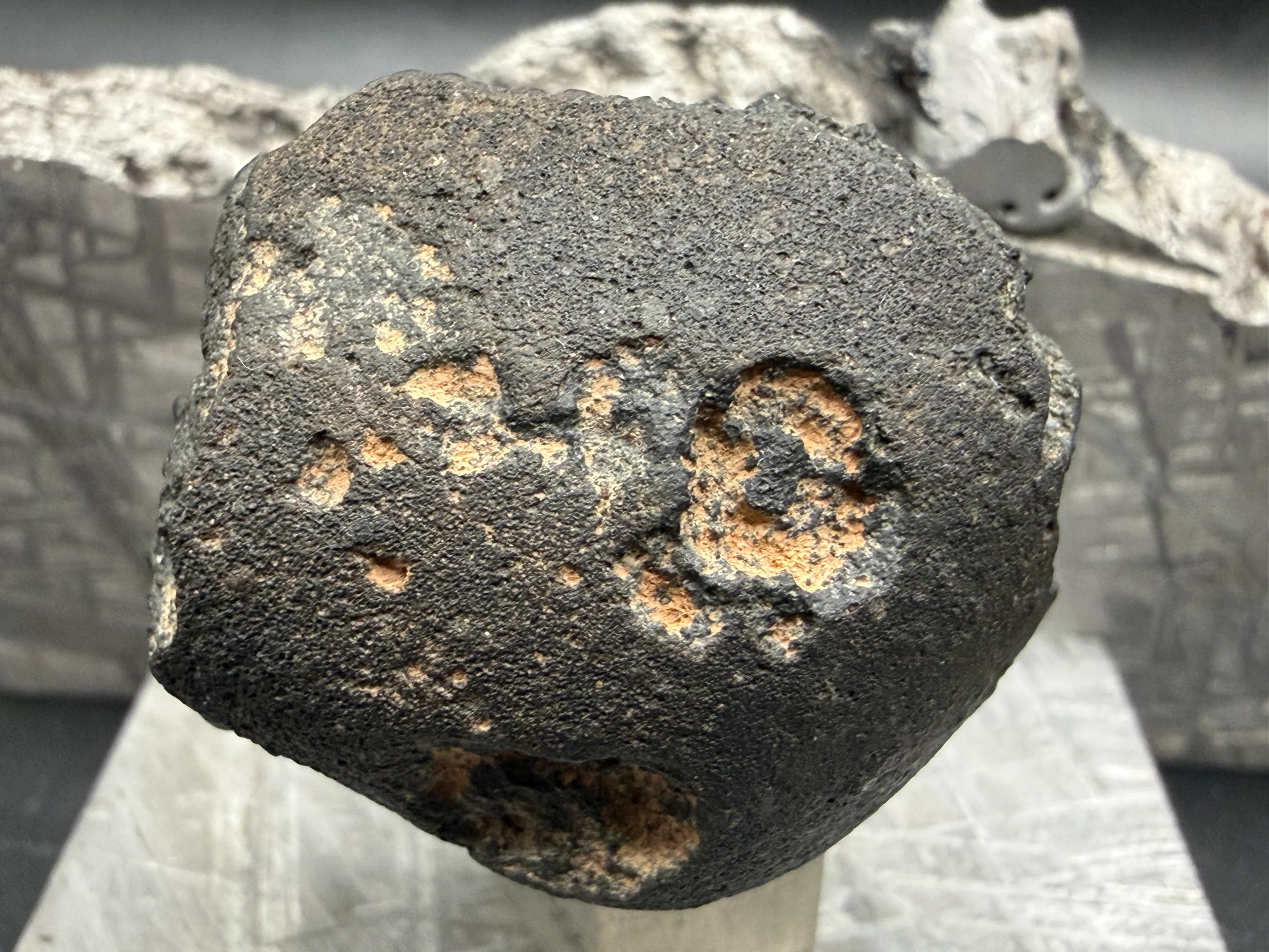 carbonaceous chondrite meteorite rock