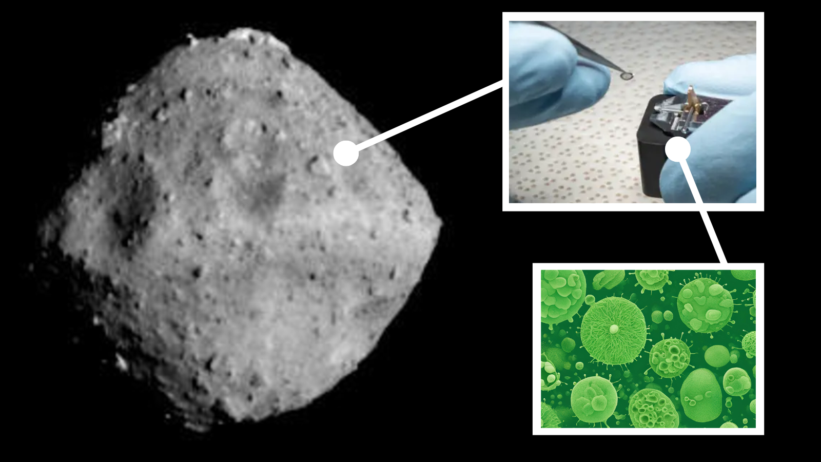 asteroid Ryugu Hayabusa2 samples