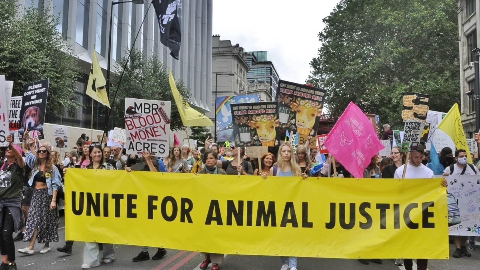 animal rights protest rally
