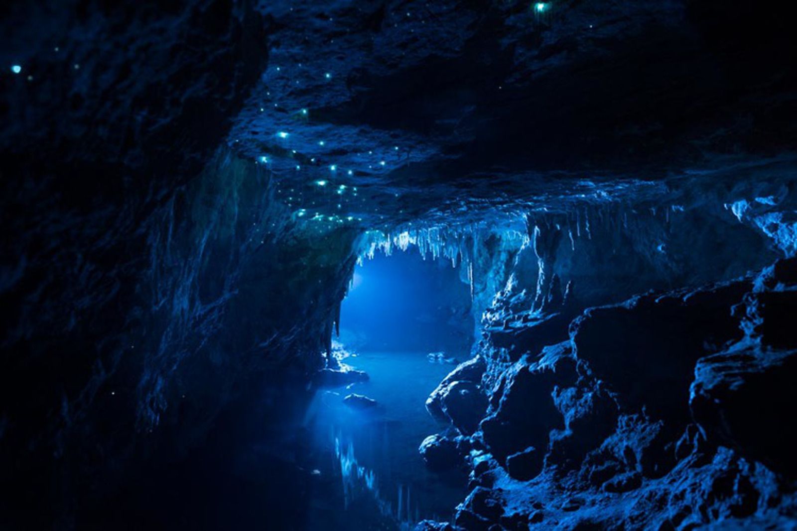 Bioluminescent Trails: Discovering Coastal Caves at Night