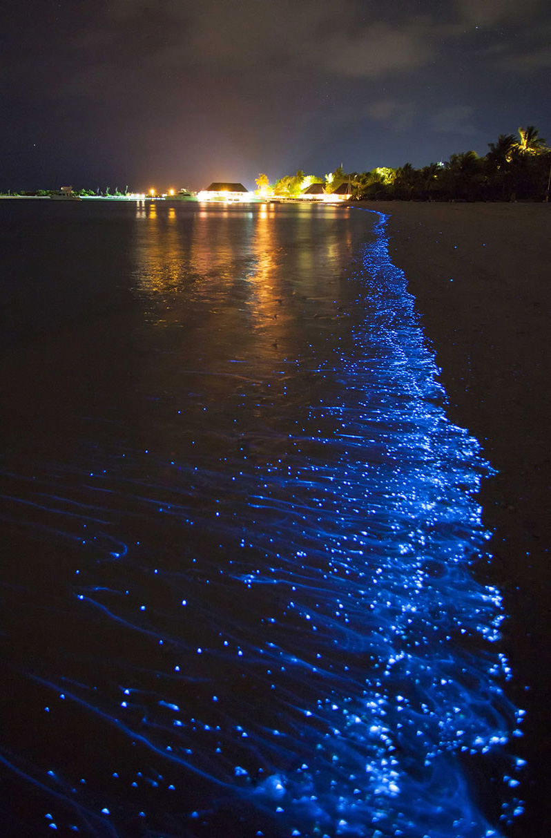 Mosquito Bay Vieques bioluminescence