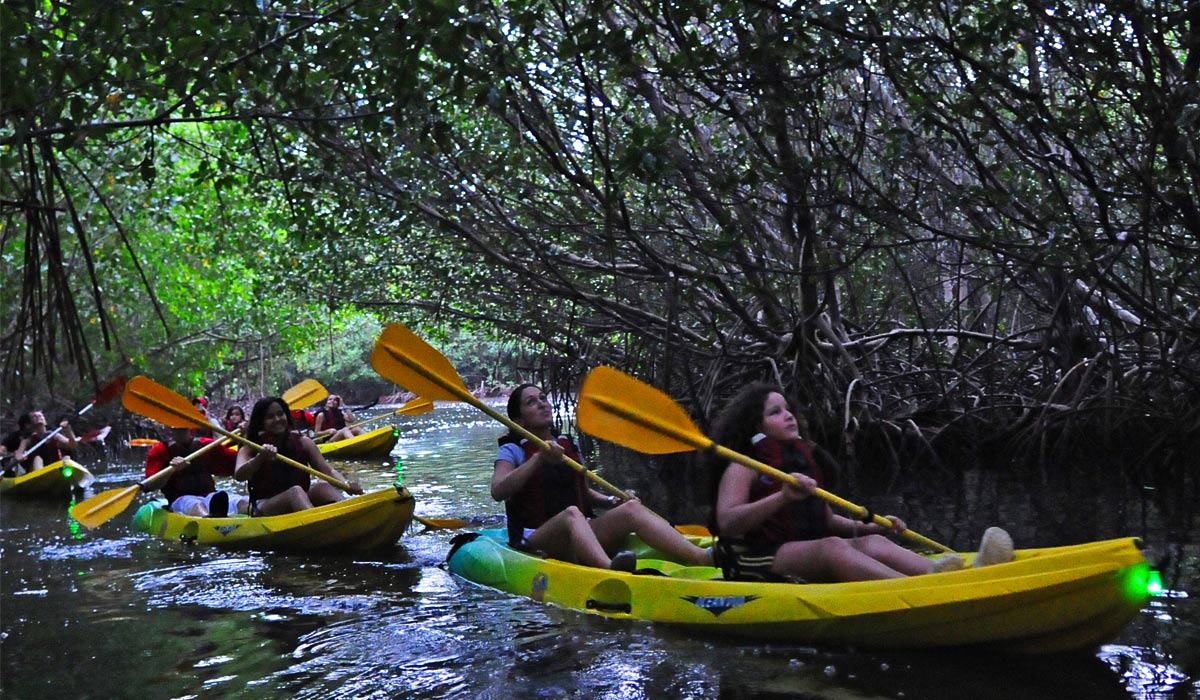 Bioluminescent Bay Fajardo kayaking