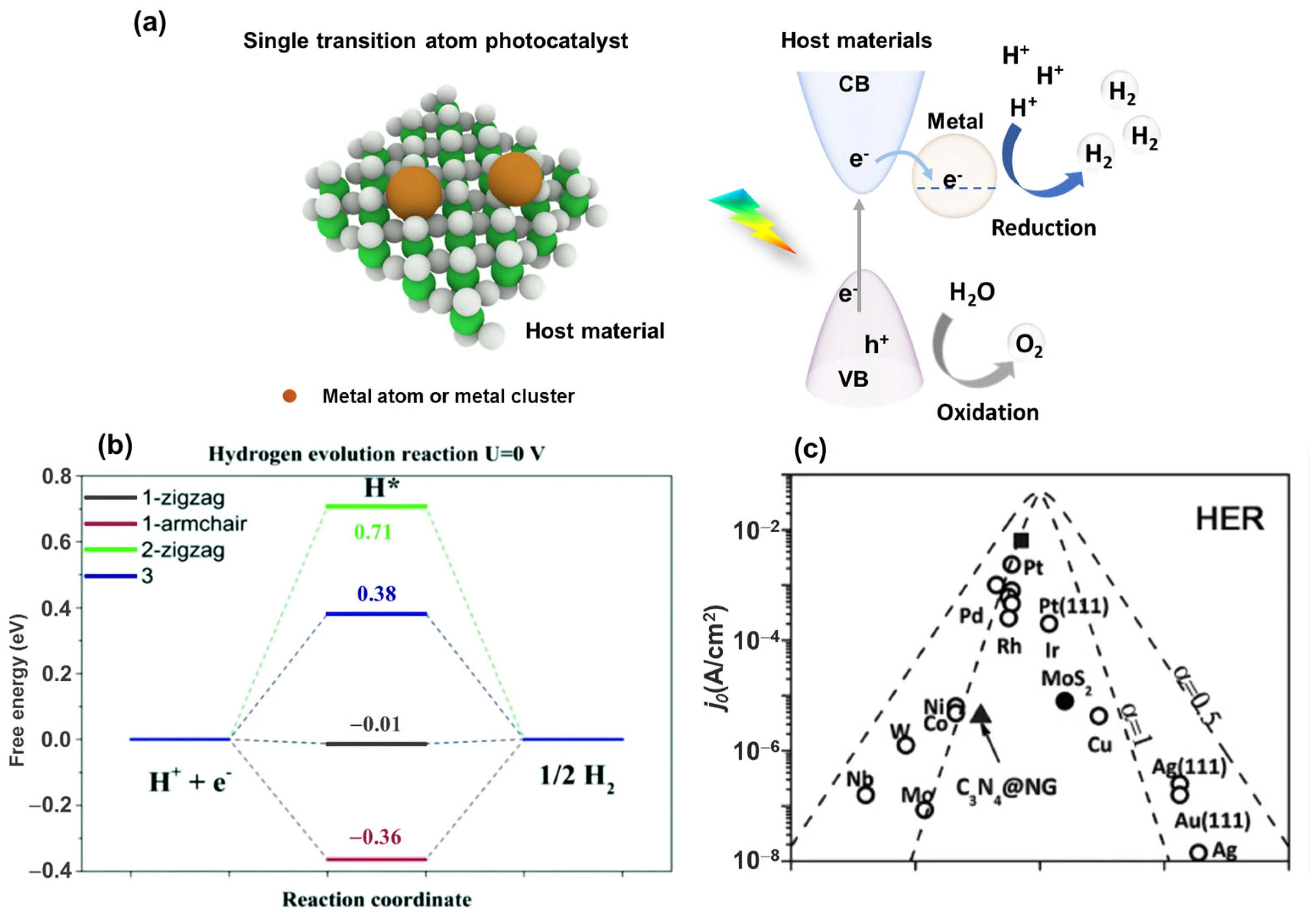 hydrogen evolution reaction catalyst