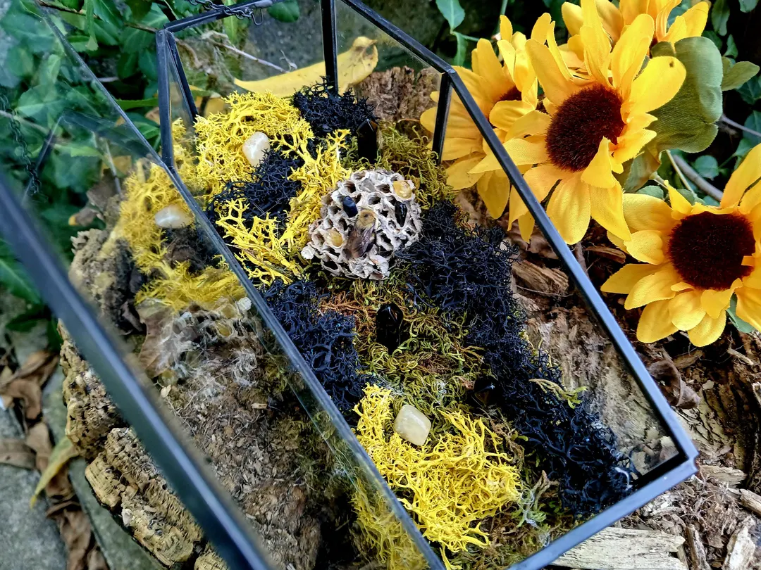 bumblebee oddity task