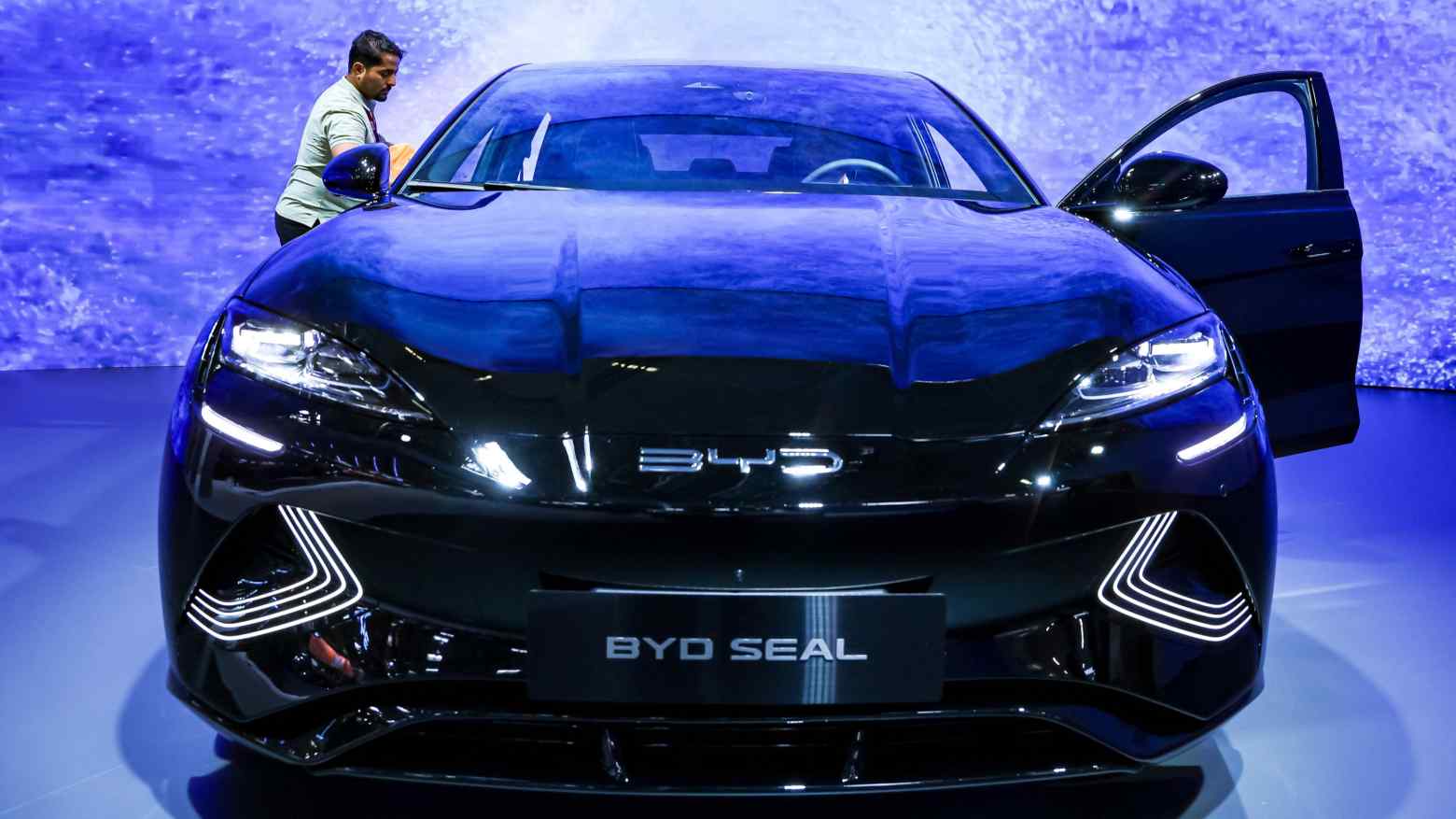 China EV subsidies BYD