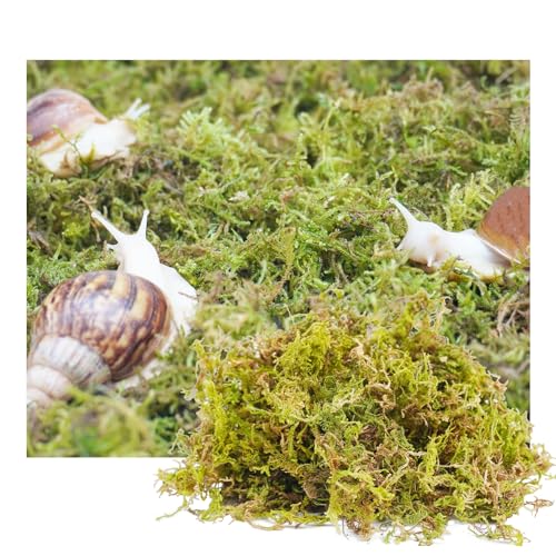 pet snail substrate