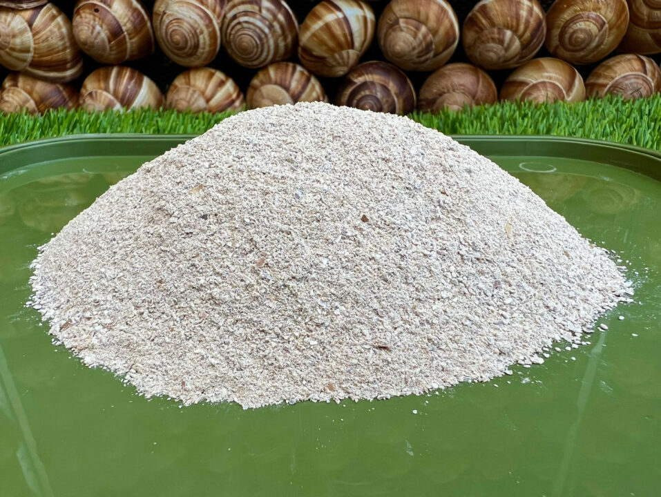 calcium powder snail shell