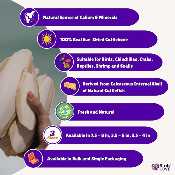 cuttlebone snail calcium