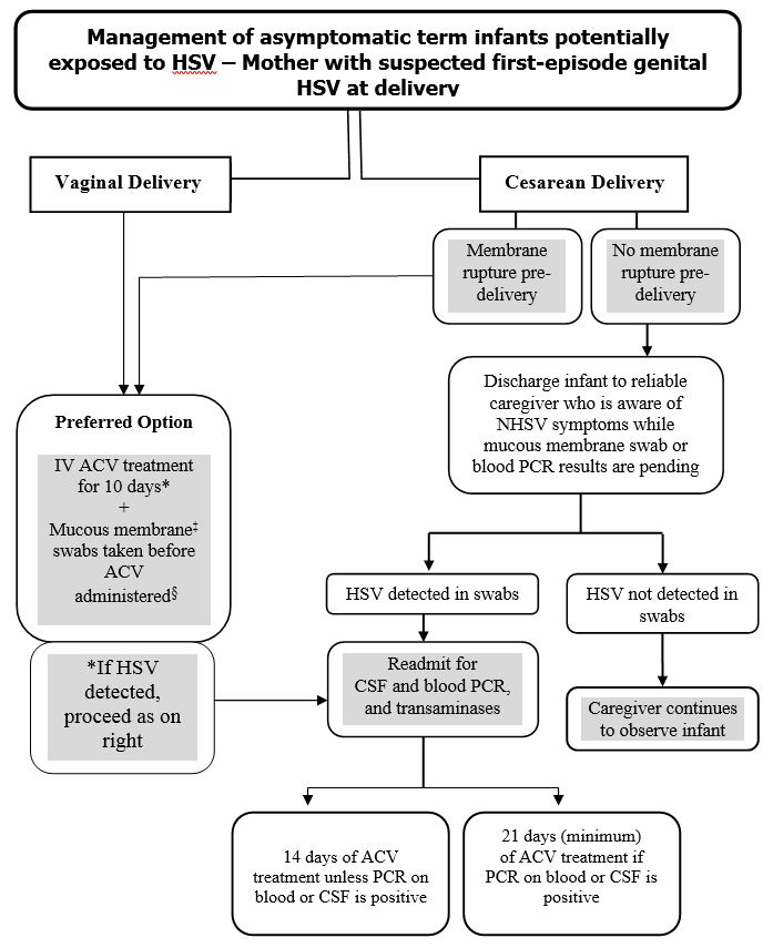 neonatal HSV encephalitis baby