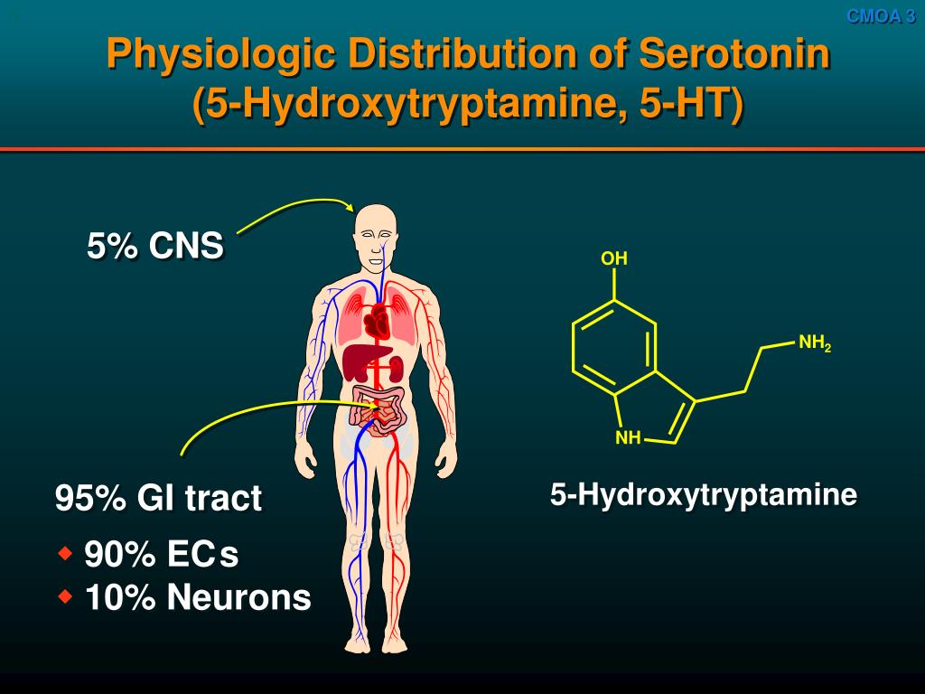 5-HT4 receptor serotonin pharmacology