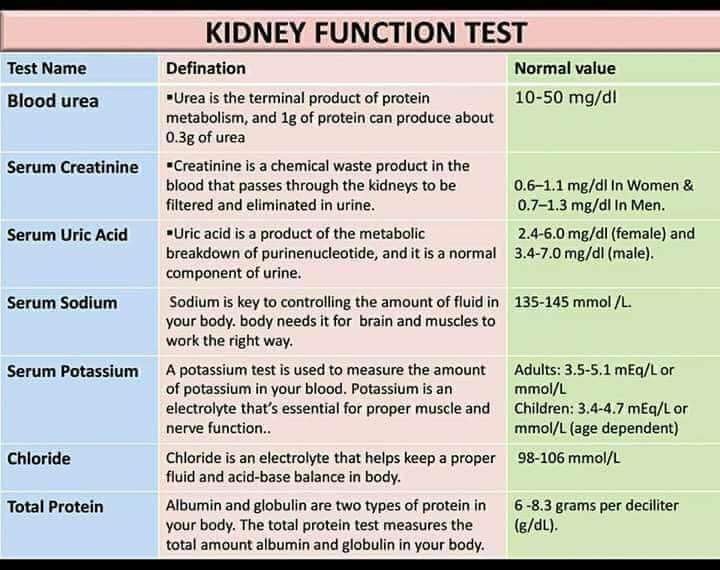 kidney function blood test