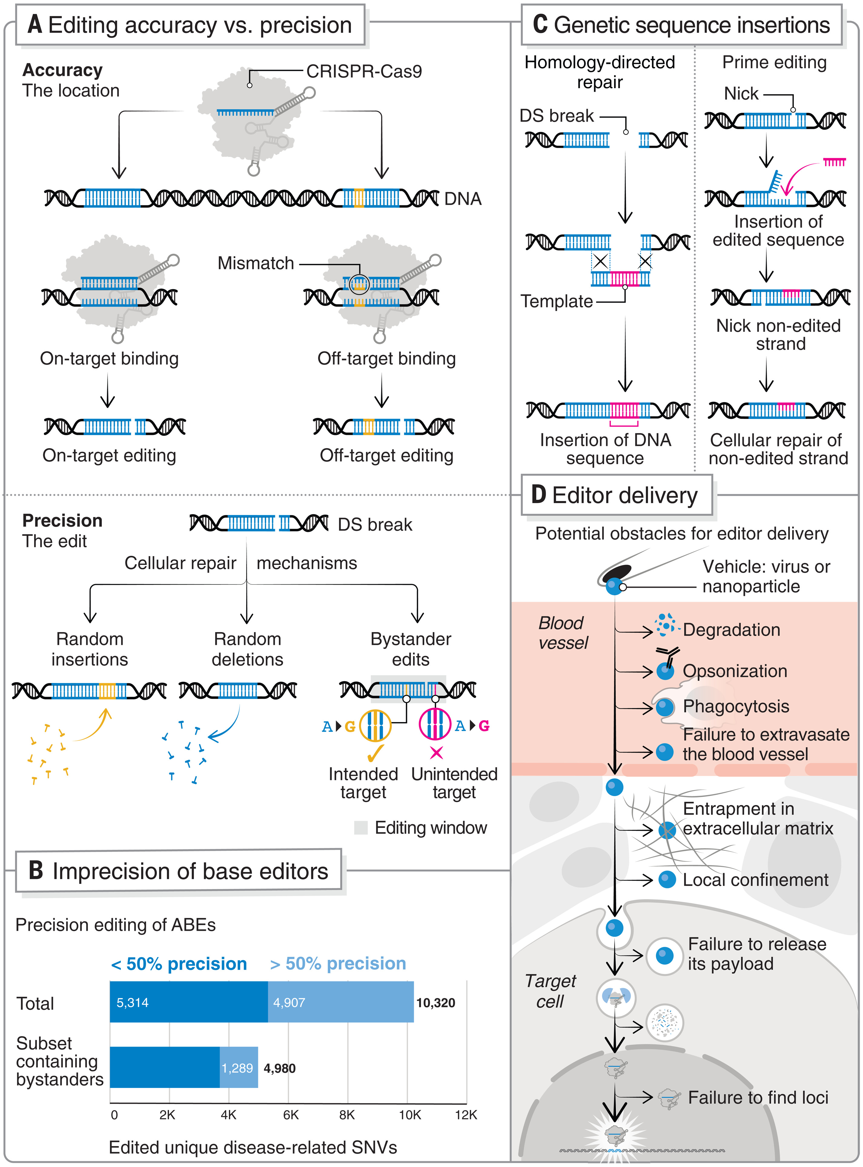 CRISPR gene editing microscope