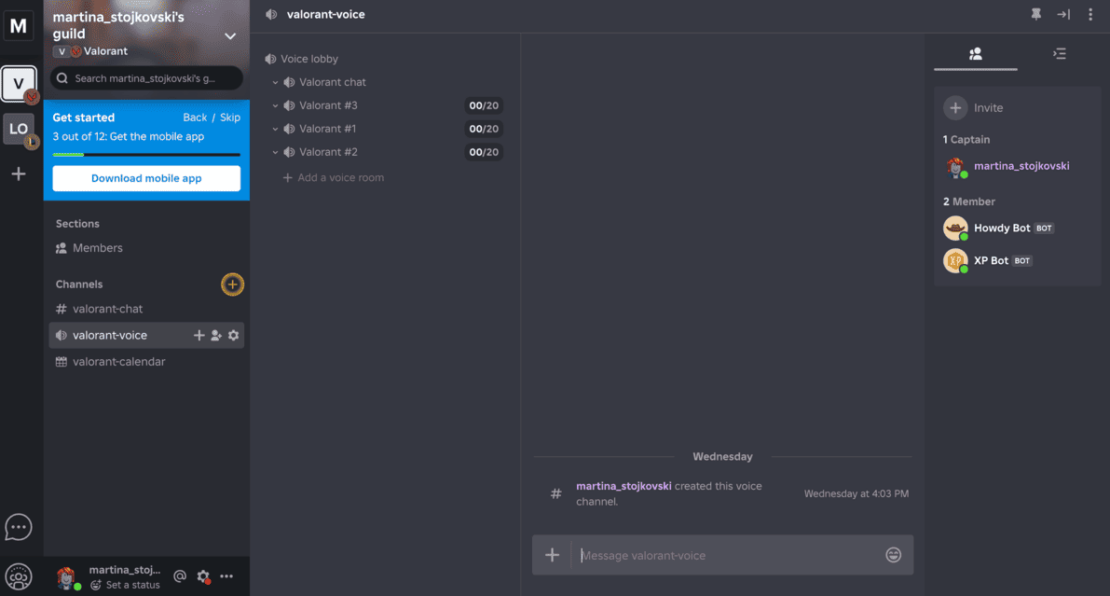Discord alternatives search surge