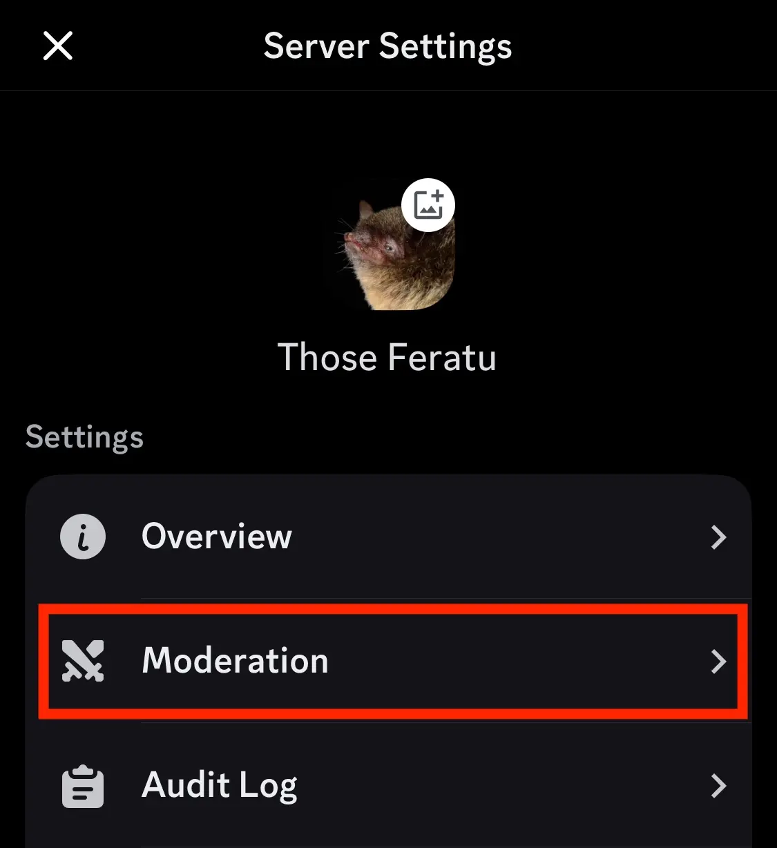 Discord moderation tools