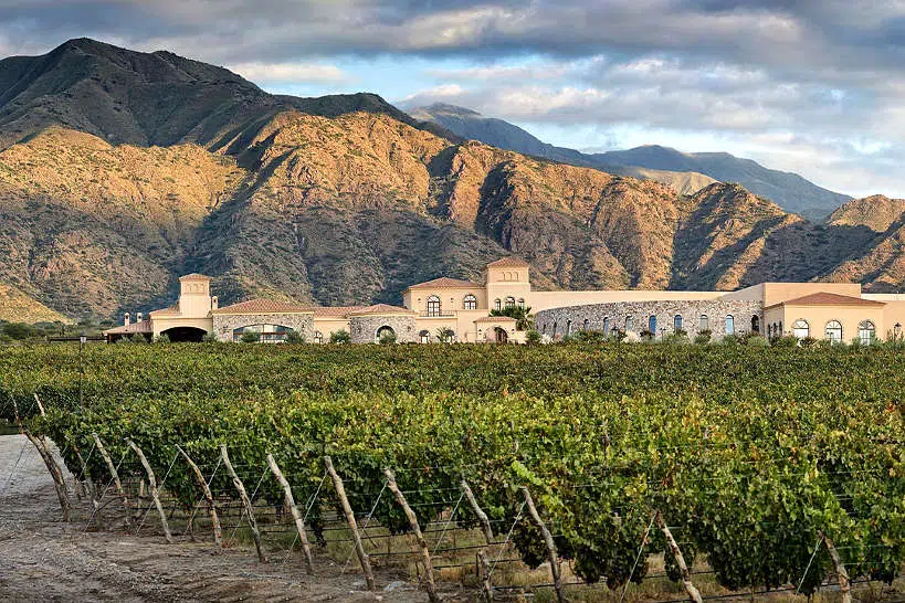 Cafayate Torrontés Winery