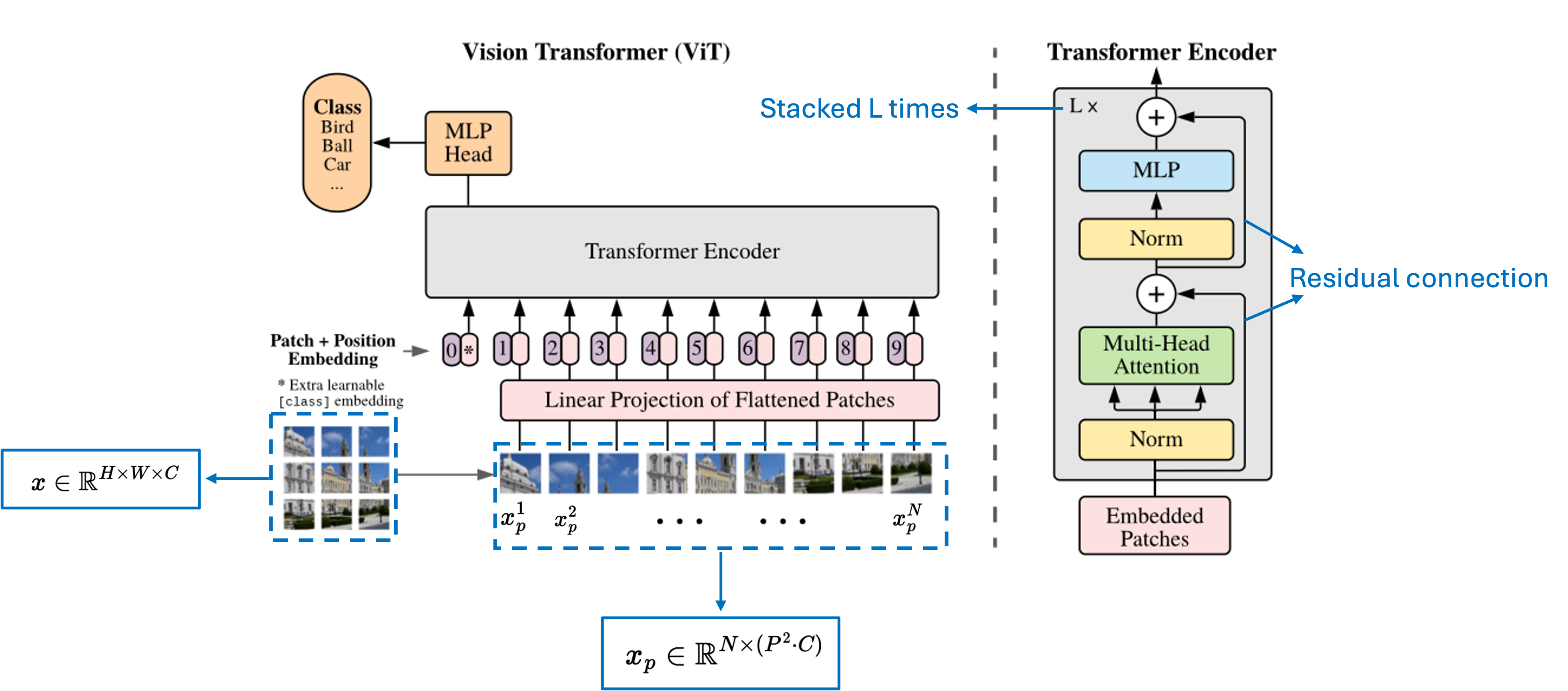 vision transformer ViT architecture