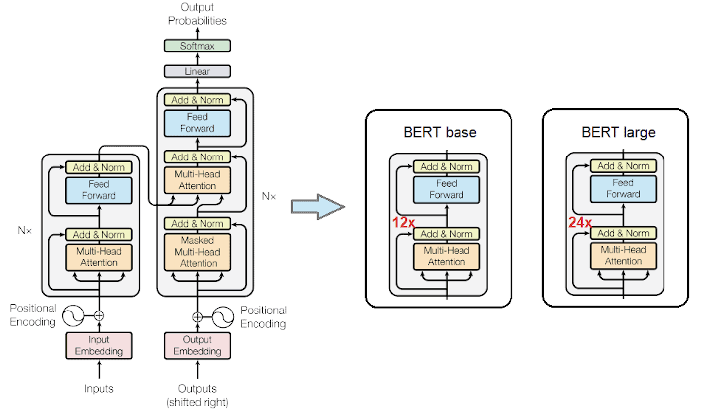 BERT language model transformer