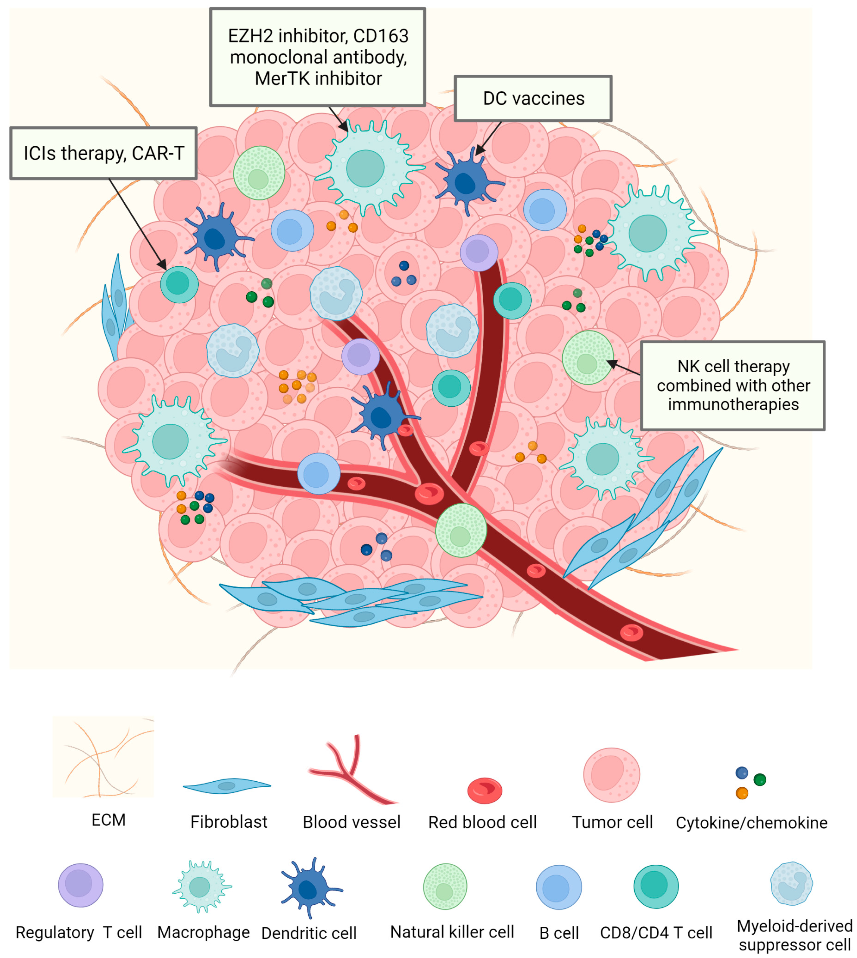 lung cancer tumor microenvironment