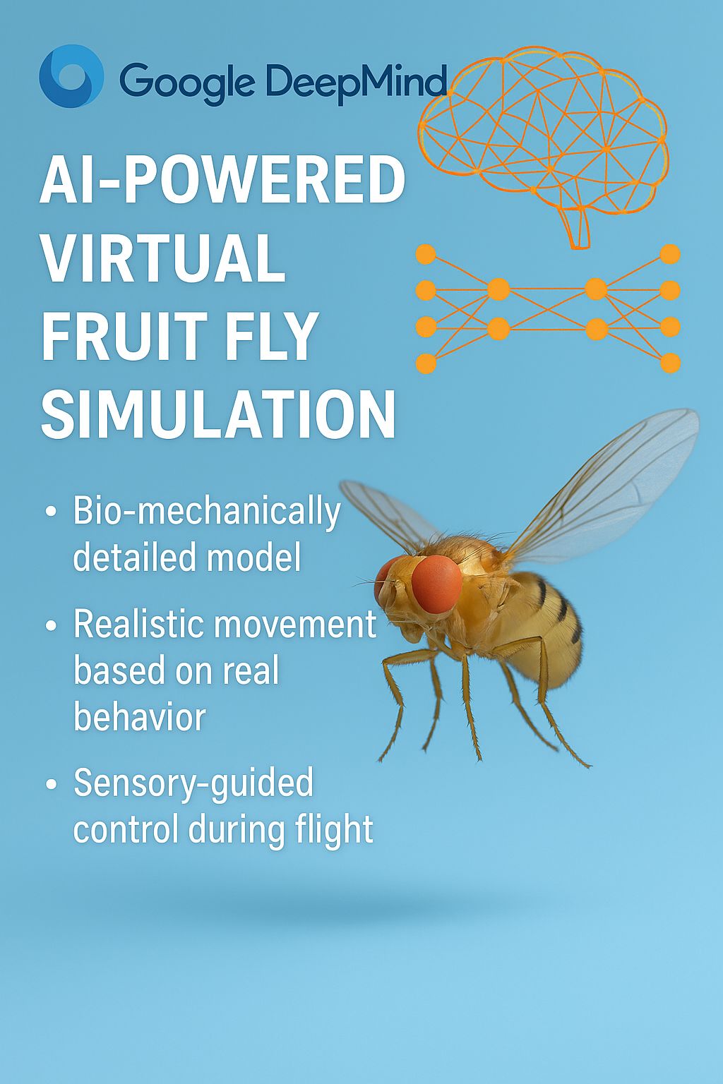 virtual fruit fly feeding