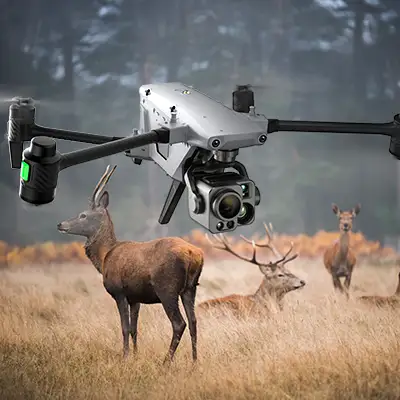 wolf hunting strategy drone footage