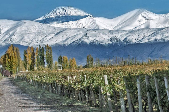 Mendoza wine region