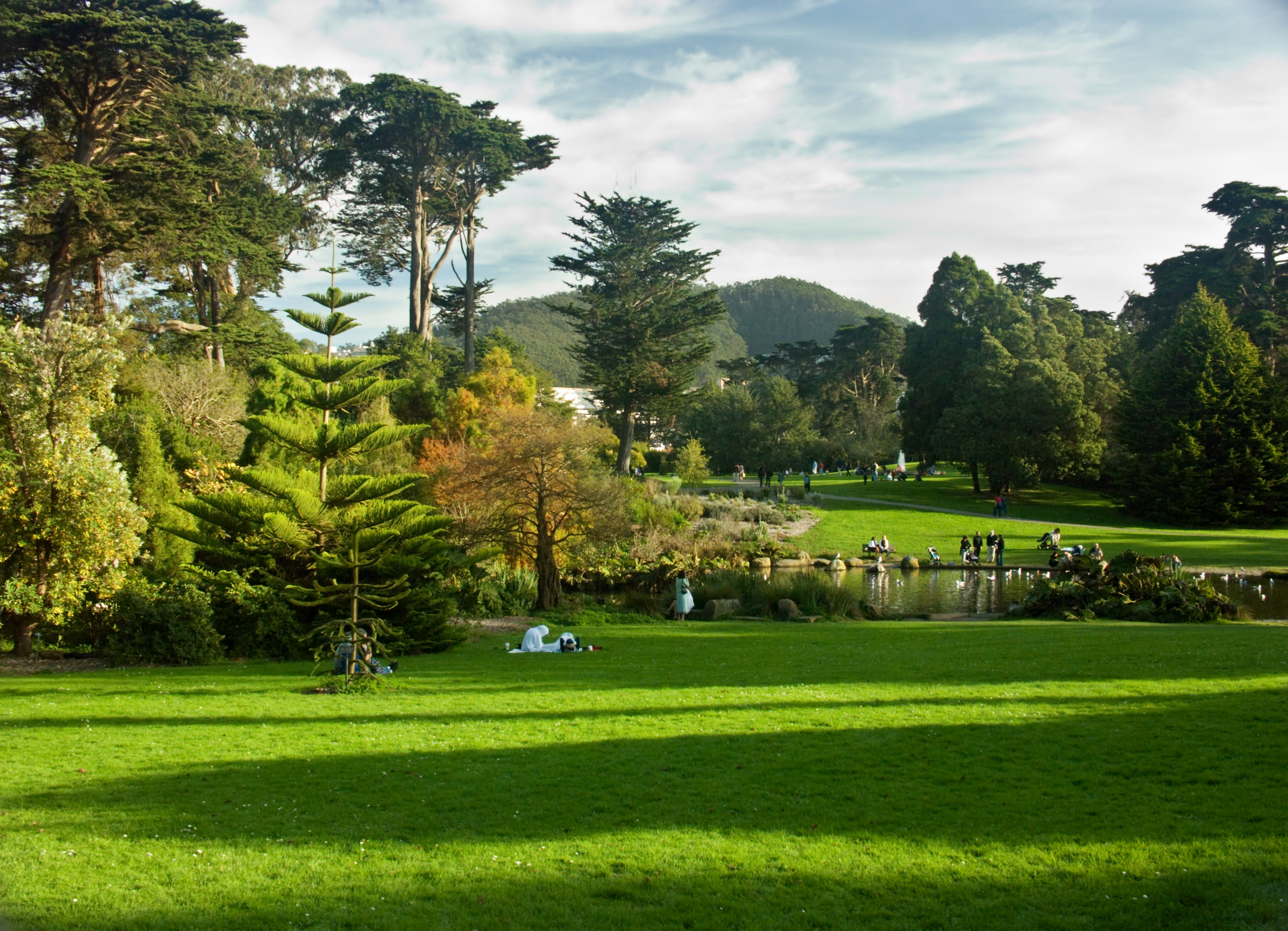 San Francisco Golden Gate Park