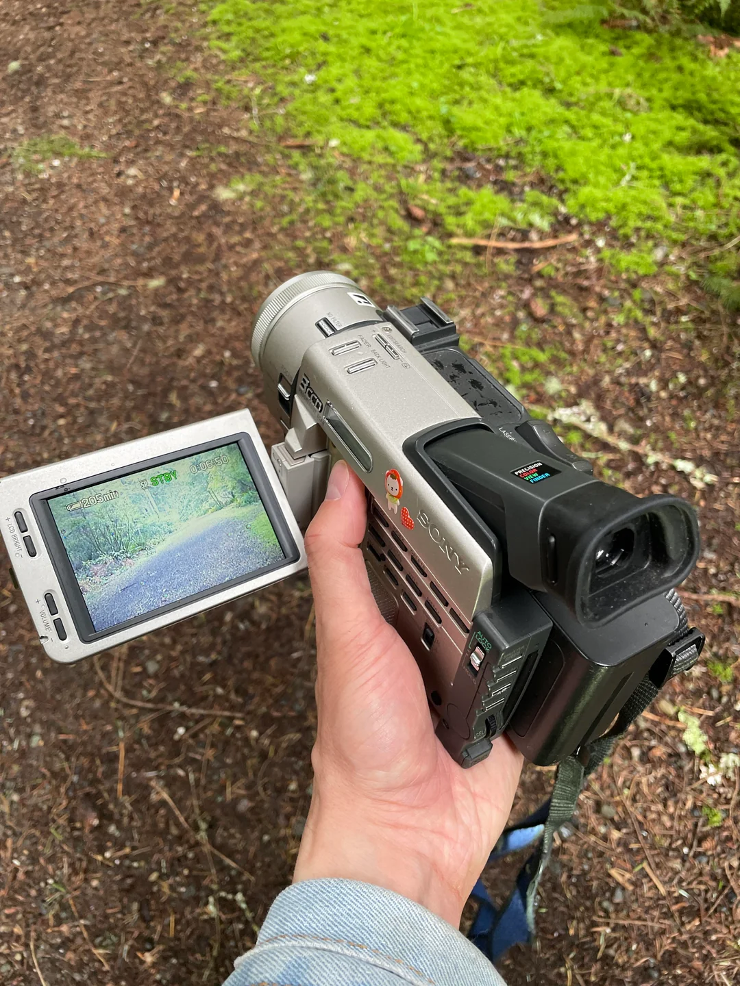 MiniDV camcorder found in forest