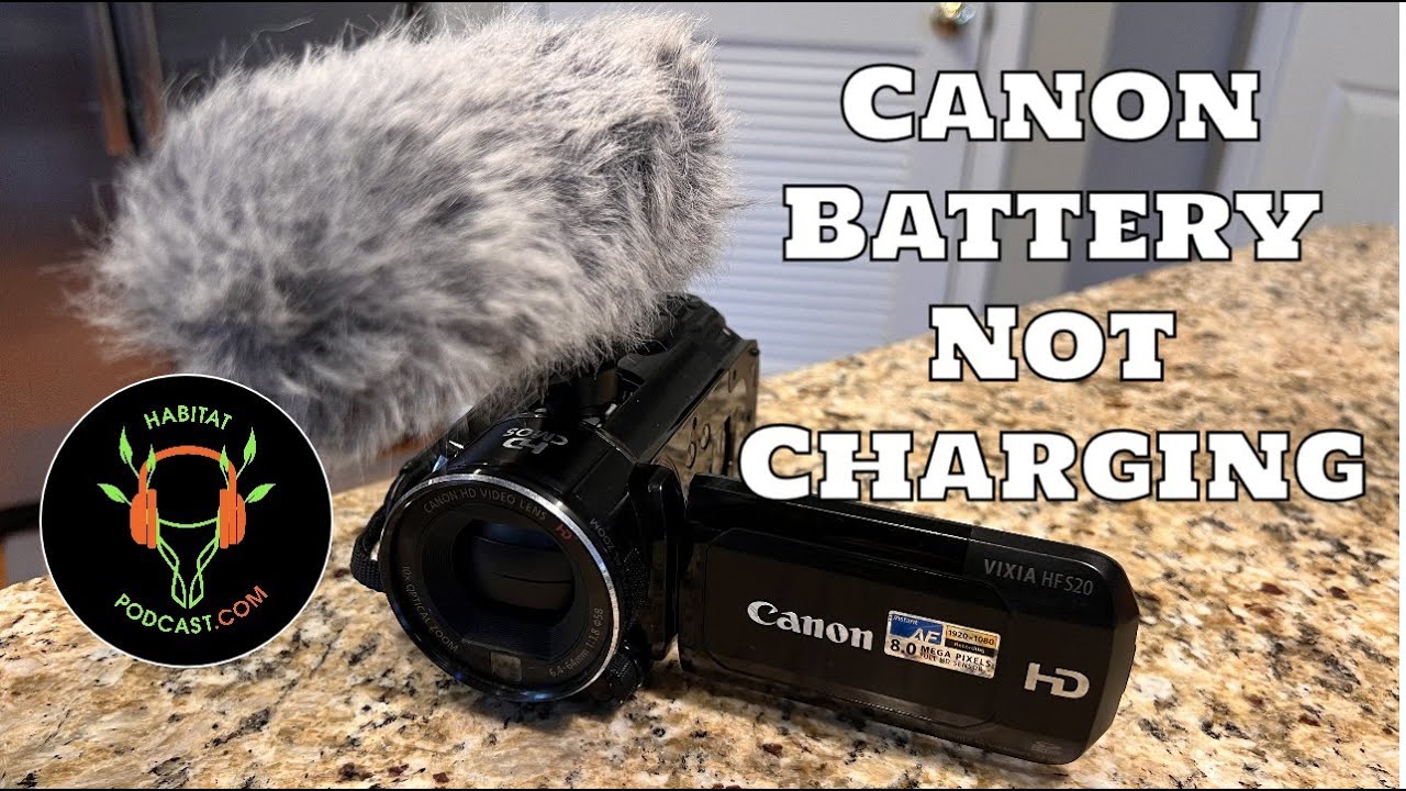 abandoned camcorder battery decay