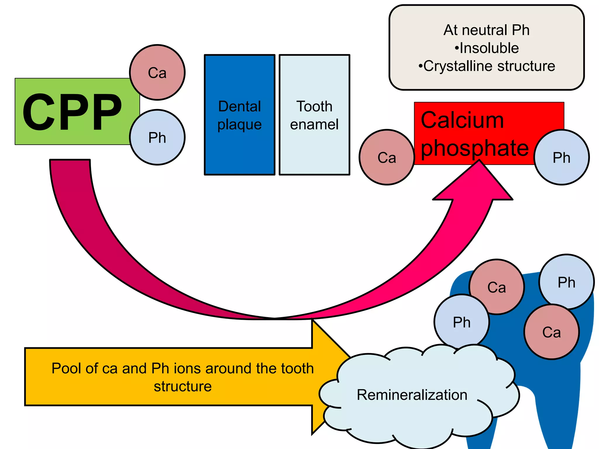 calcium phosphate dental remineralization