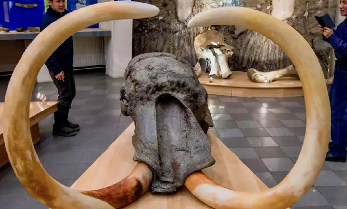 Mammoth remains Yakutsk permafrost