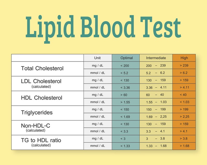 lipid panel blood test