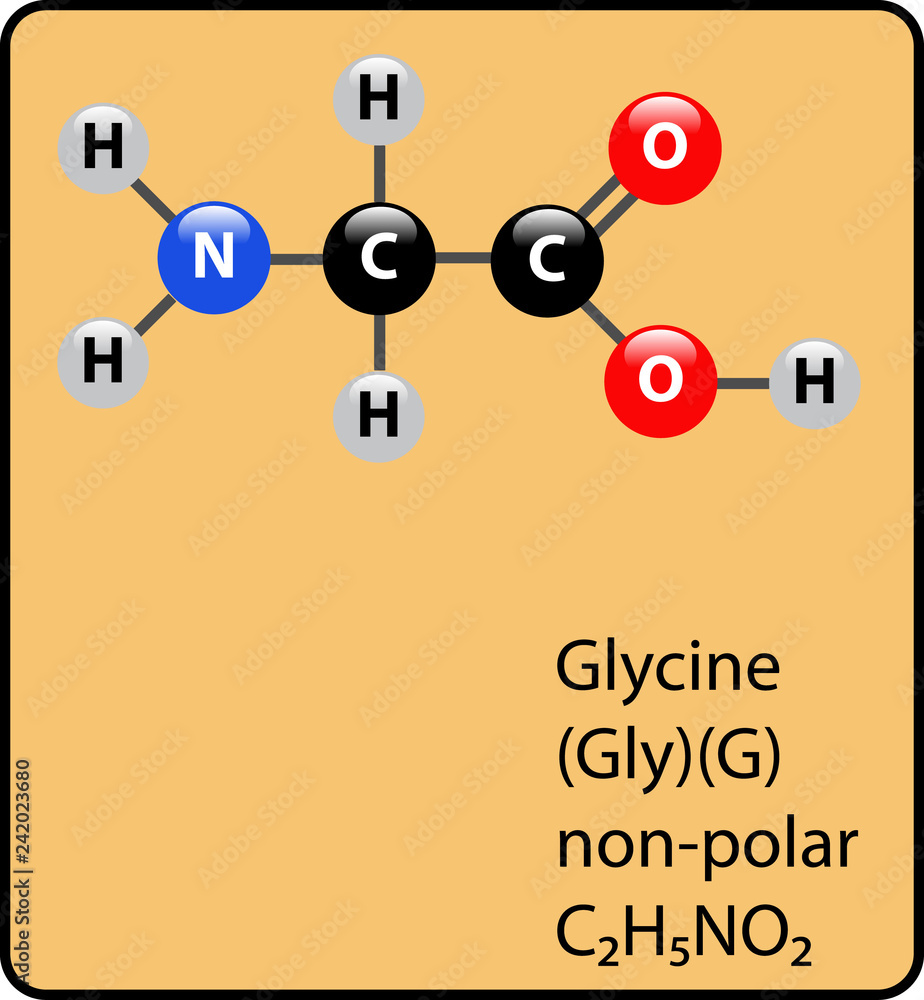 glycine amino acid molecule