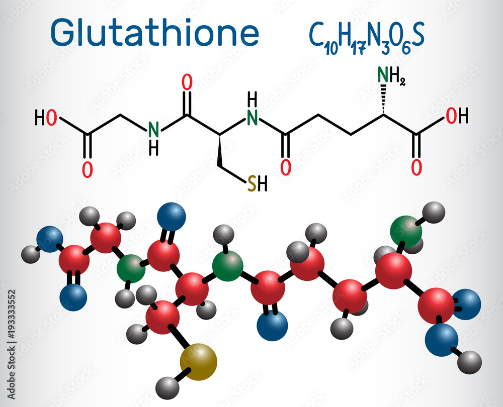 glutathione antioxidant molecule structure