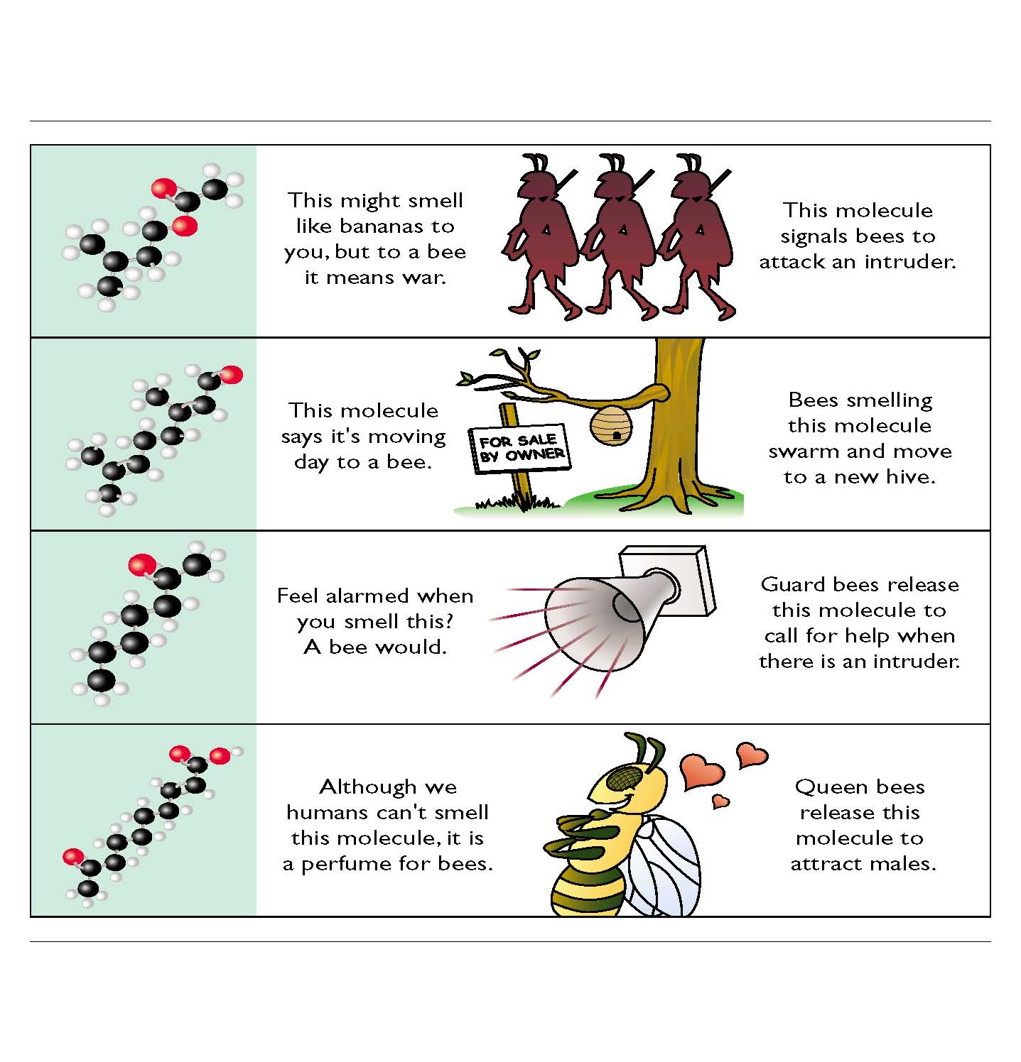 bee pheromone communication signals