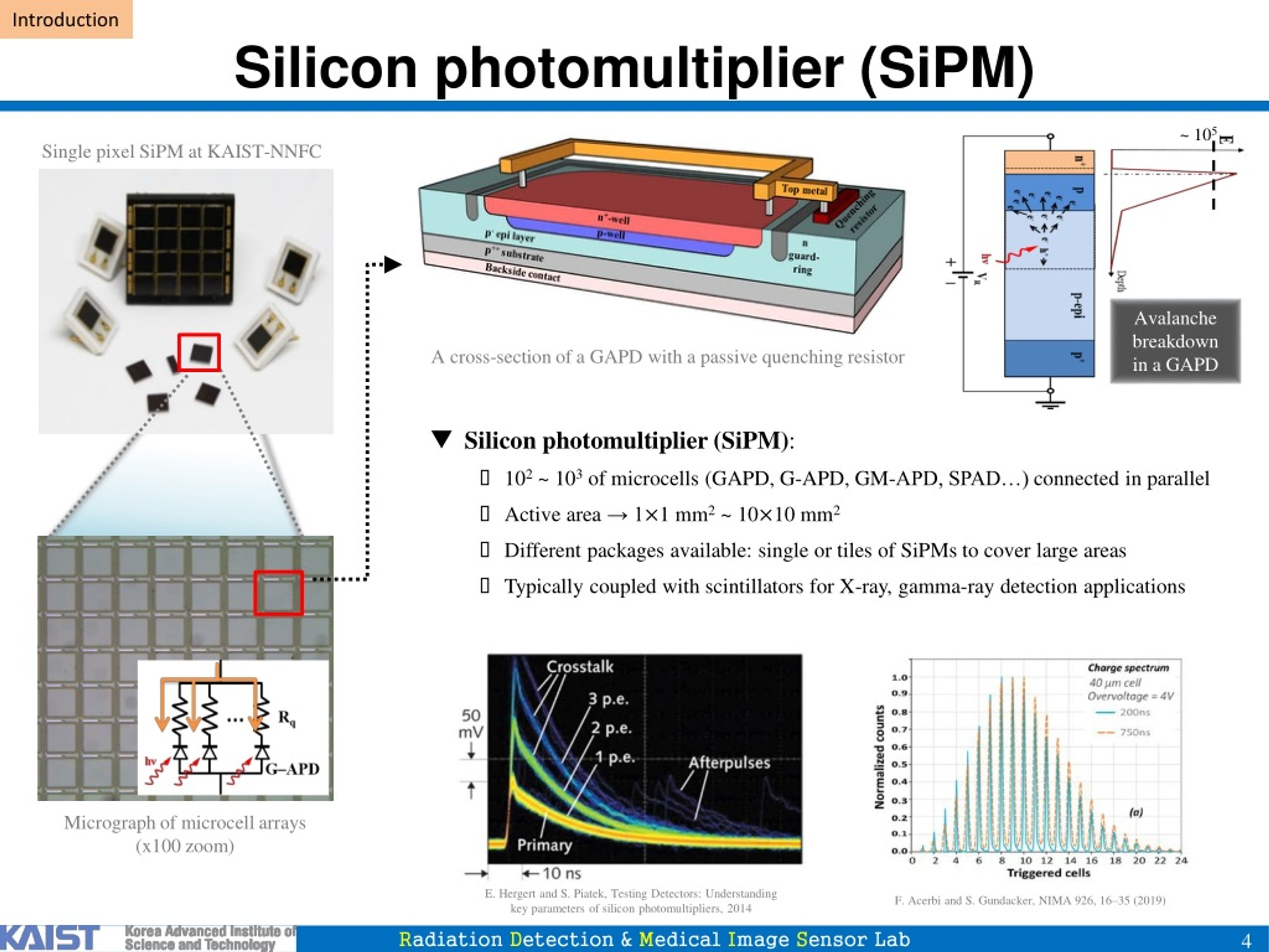 silicon photomultiplier SiPM