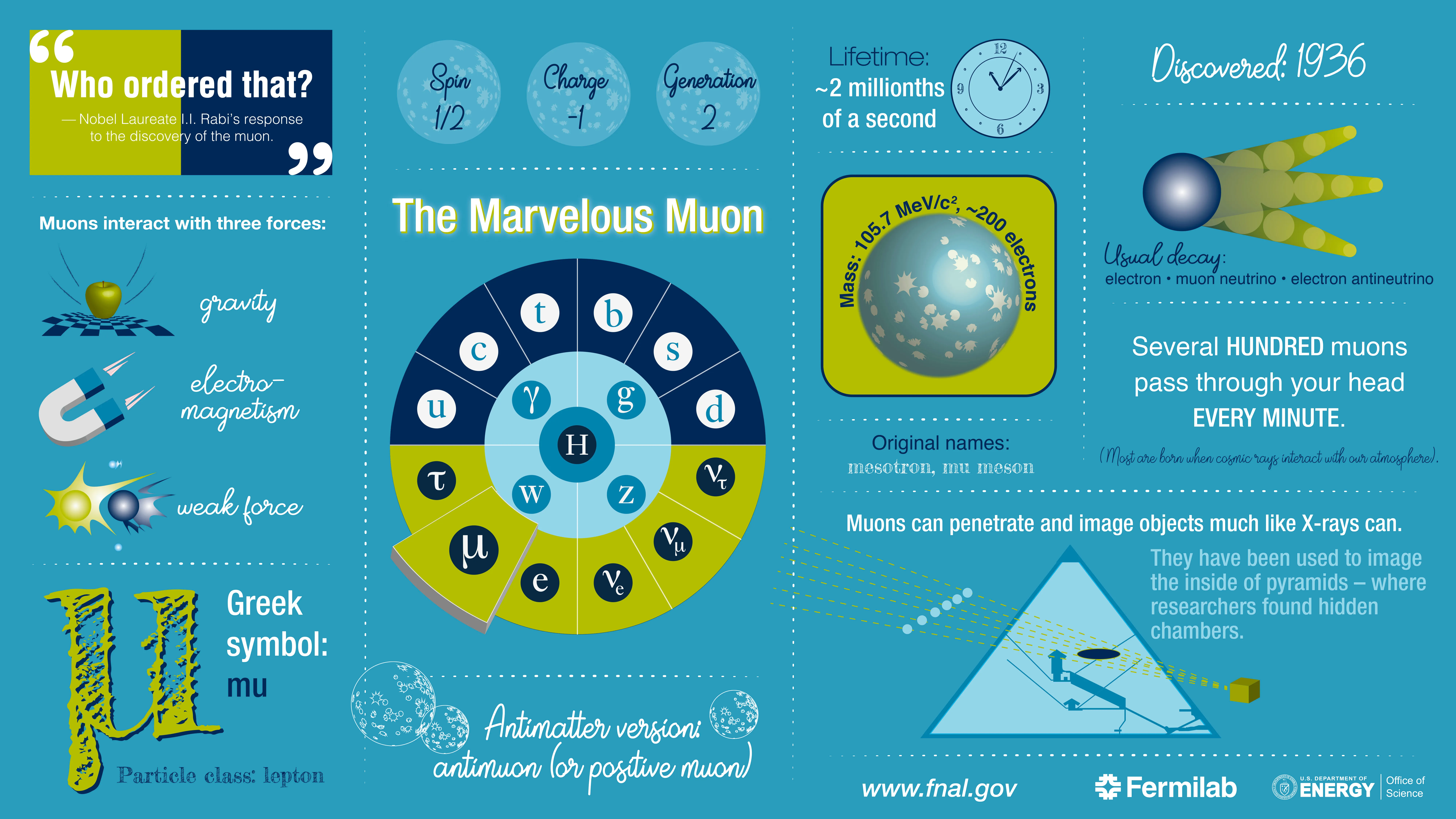 muon particle physics