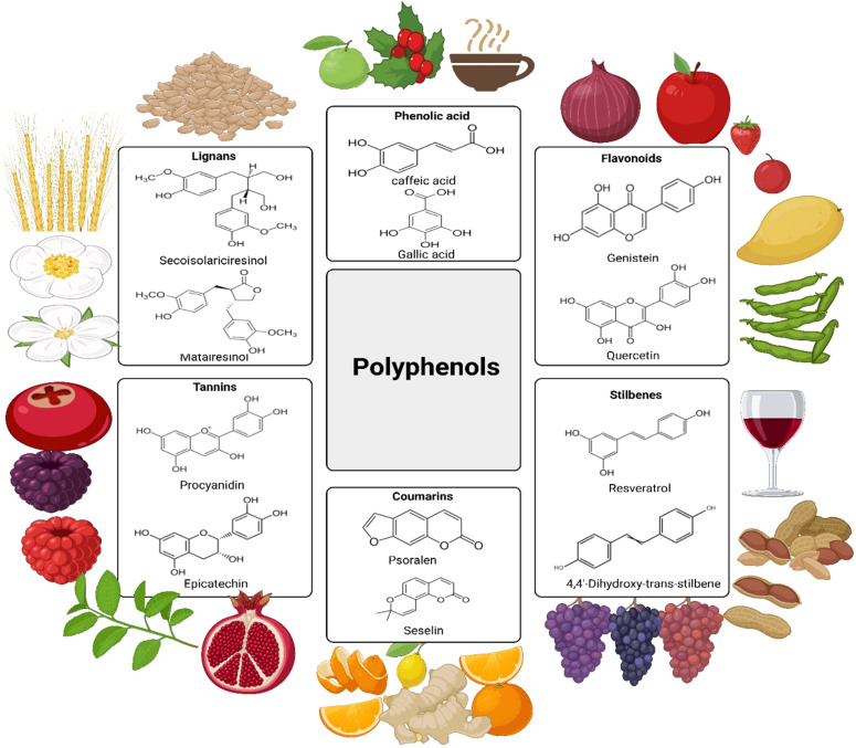 coffee polyphenols chemical structure