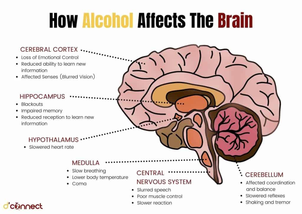 How Drinking to Cope Rewires Your Brain — Risks and Recovery